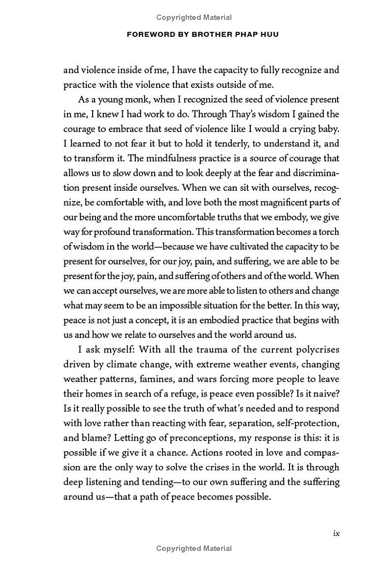 love in action, second edition - writings on nonviolent social change