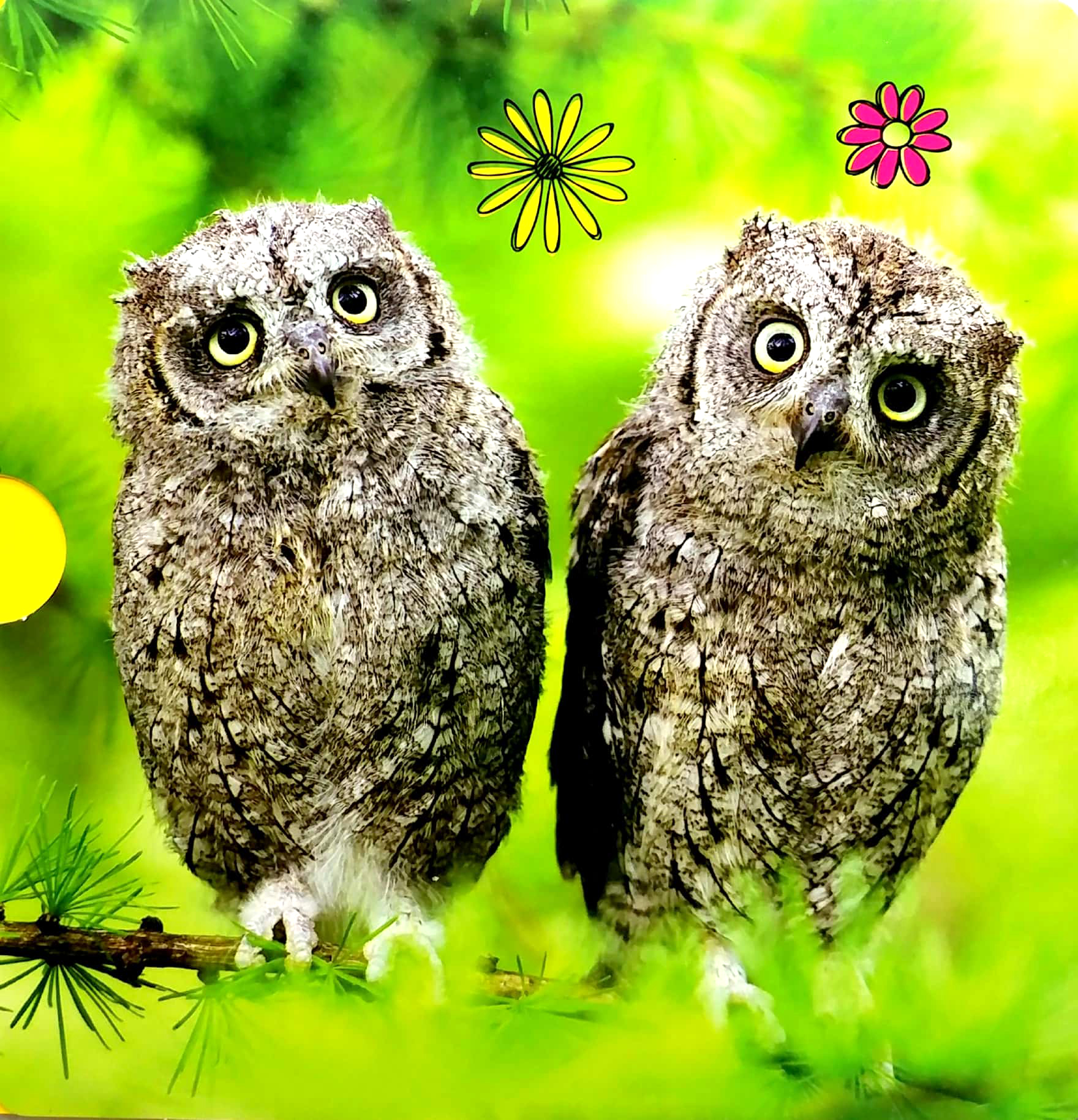 lovey dovey - my best friend is