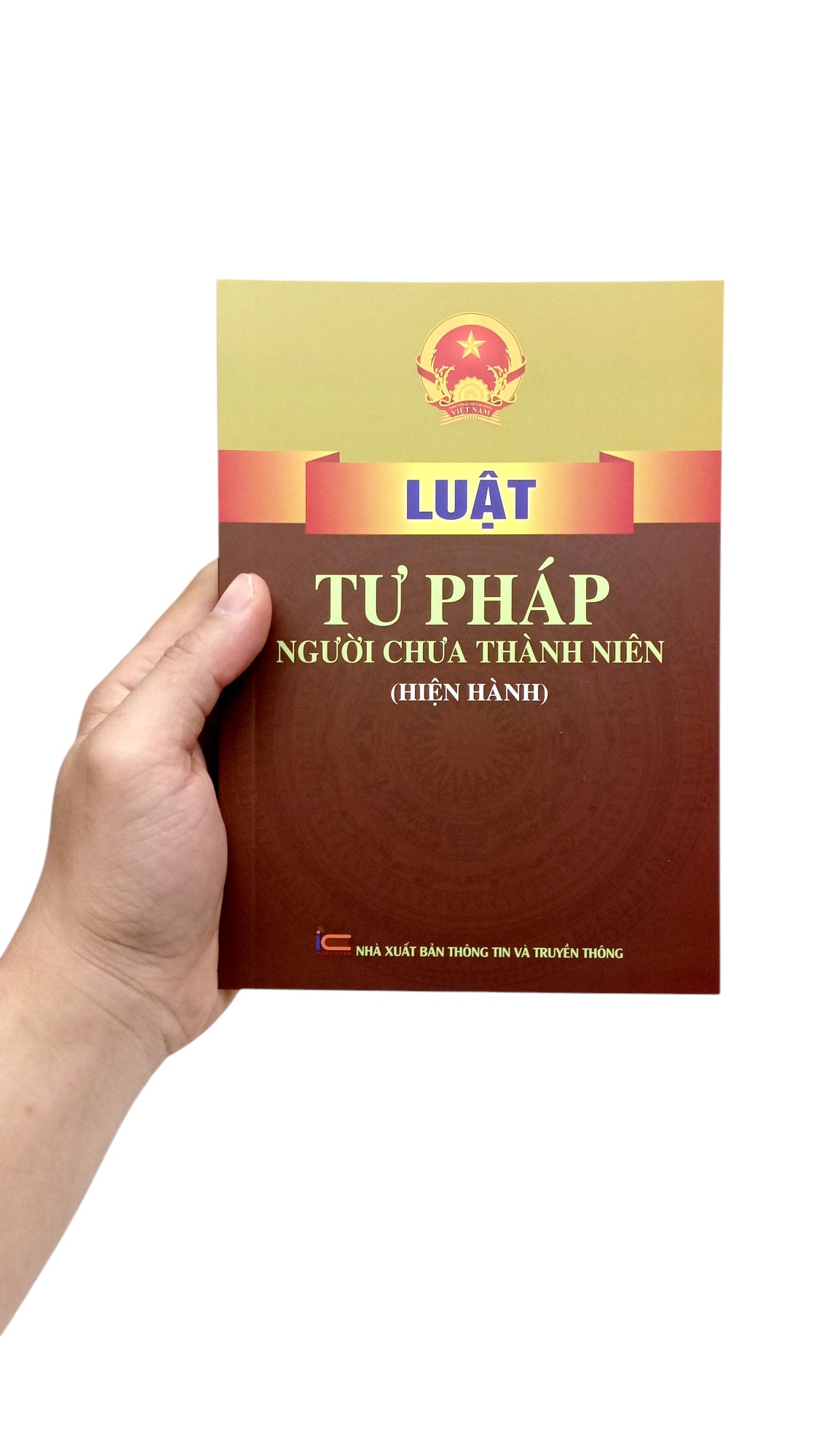 Luat Tu Phap Nguoi Chua Thanh Nien (Hien Hanh)