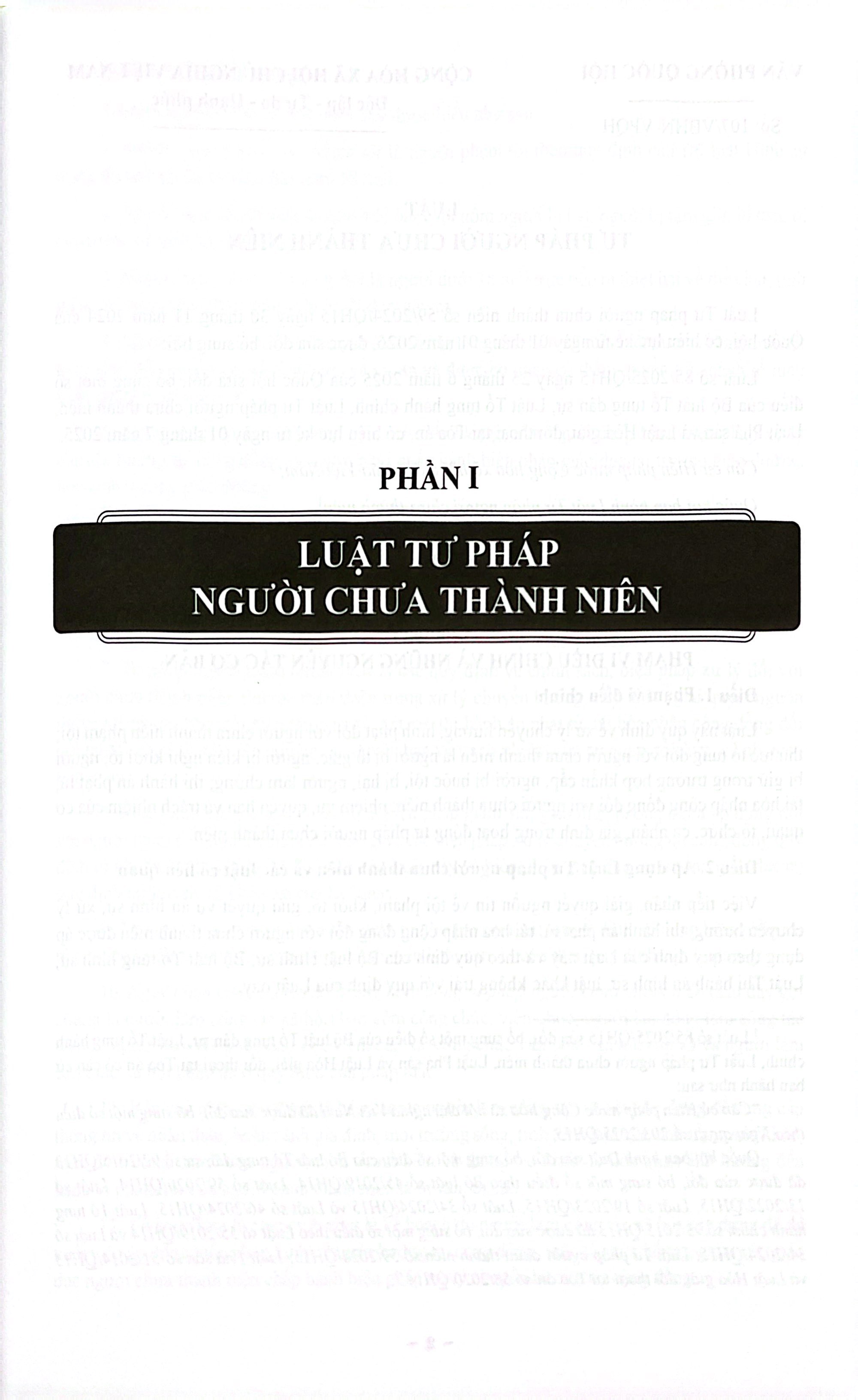 Luật Tư Pháp Người Chưa Thành Niên (Sửa Đổi, Bổ Sung Năm 2025) - Hệ Thống Các Văn Bản Về Thủ Tục Tố Tụng Hình Sự Đối Với Người Chưa Thành Niên