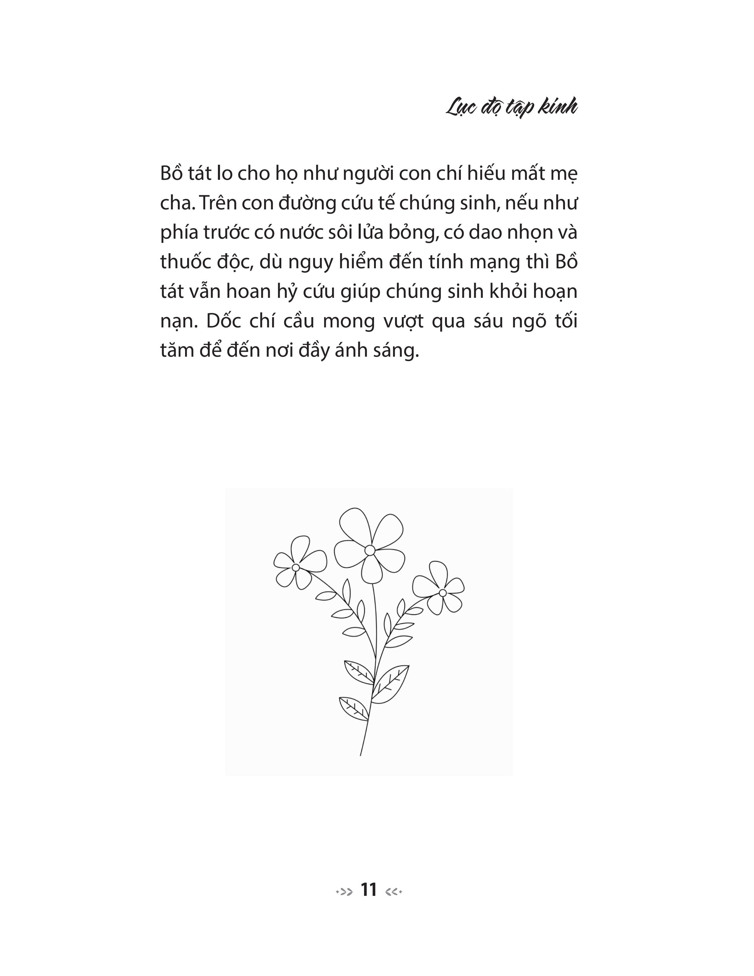 lục độ tập kinh - truyện tiền thân của đức phật - tinh tấn, thiền định và trí tuệ