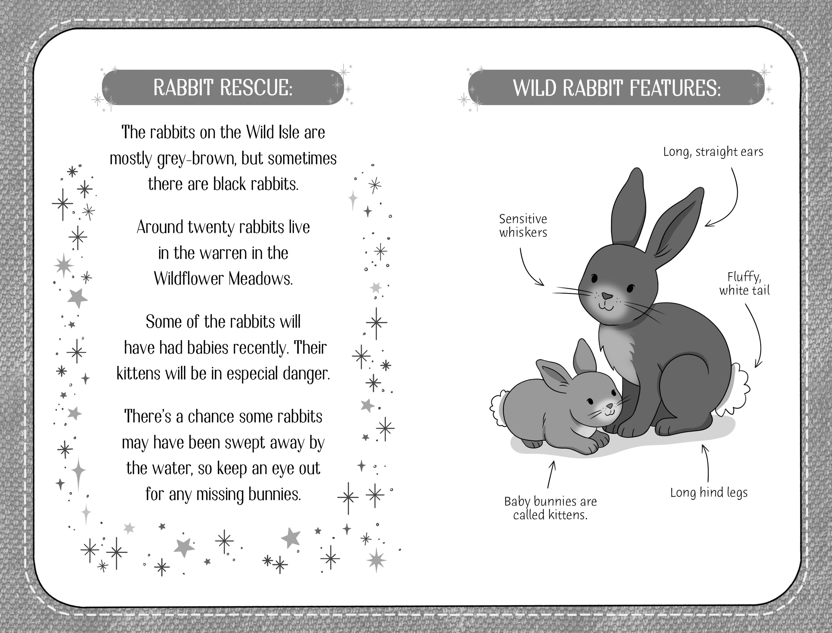 lucky bunnies : an animal rescue dolls story