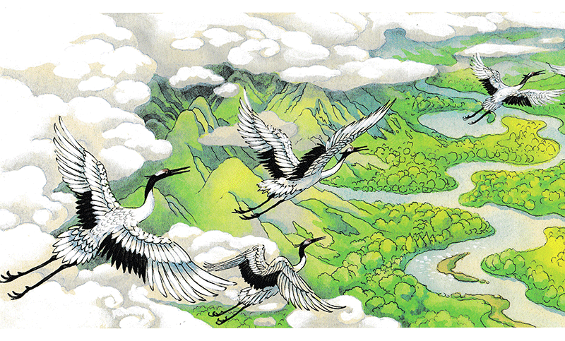 lược sử nước việt bằng tranh (tái bản 2024)