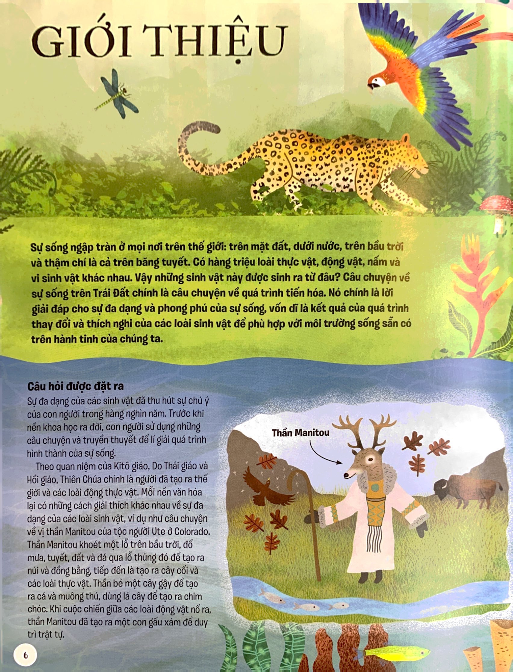 lược sử sự sống bằng hình - tiến hóa diệu kì