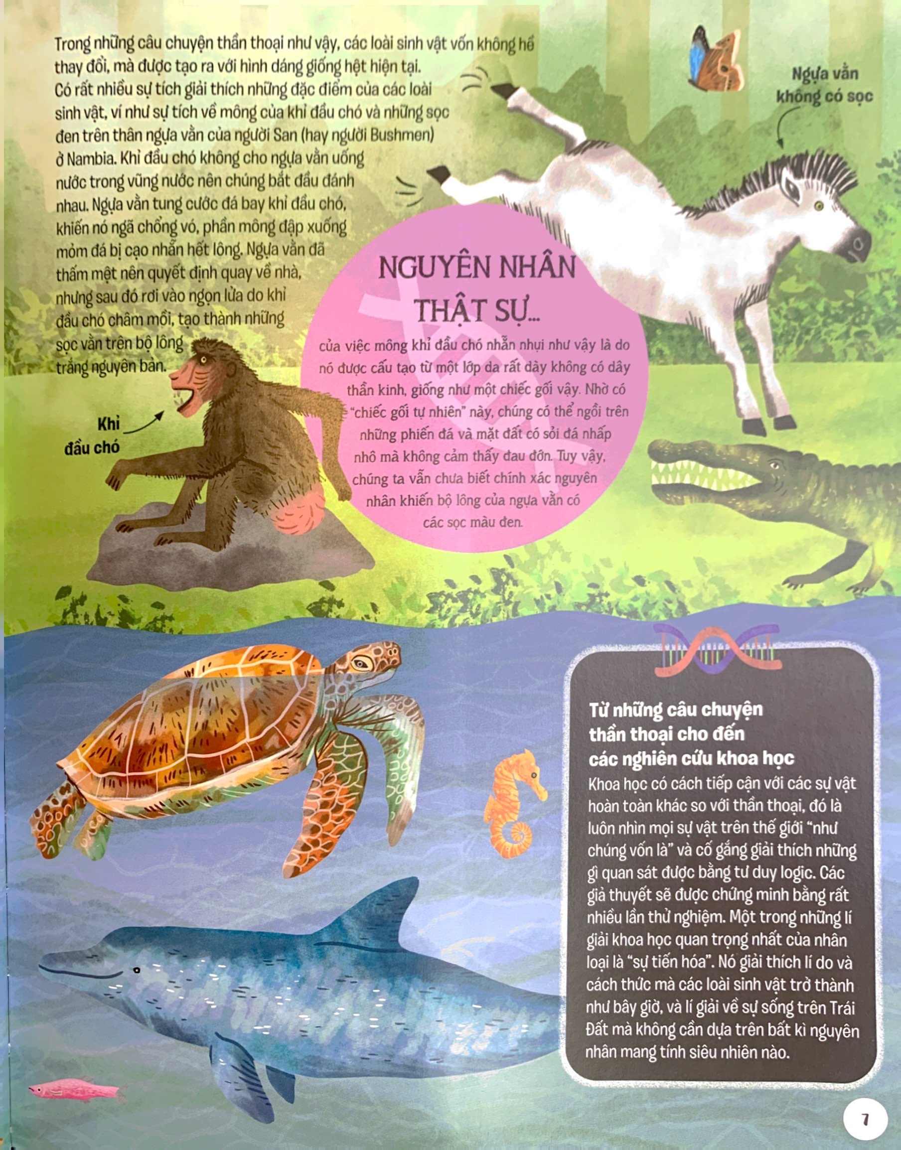 lược sử sự sống bằng hình - tiến hóa diệu kì