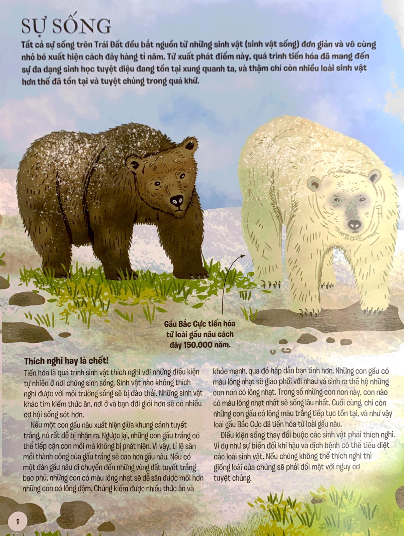 lược sử sự sống bằng hình - tiến hóa diệu kì