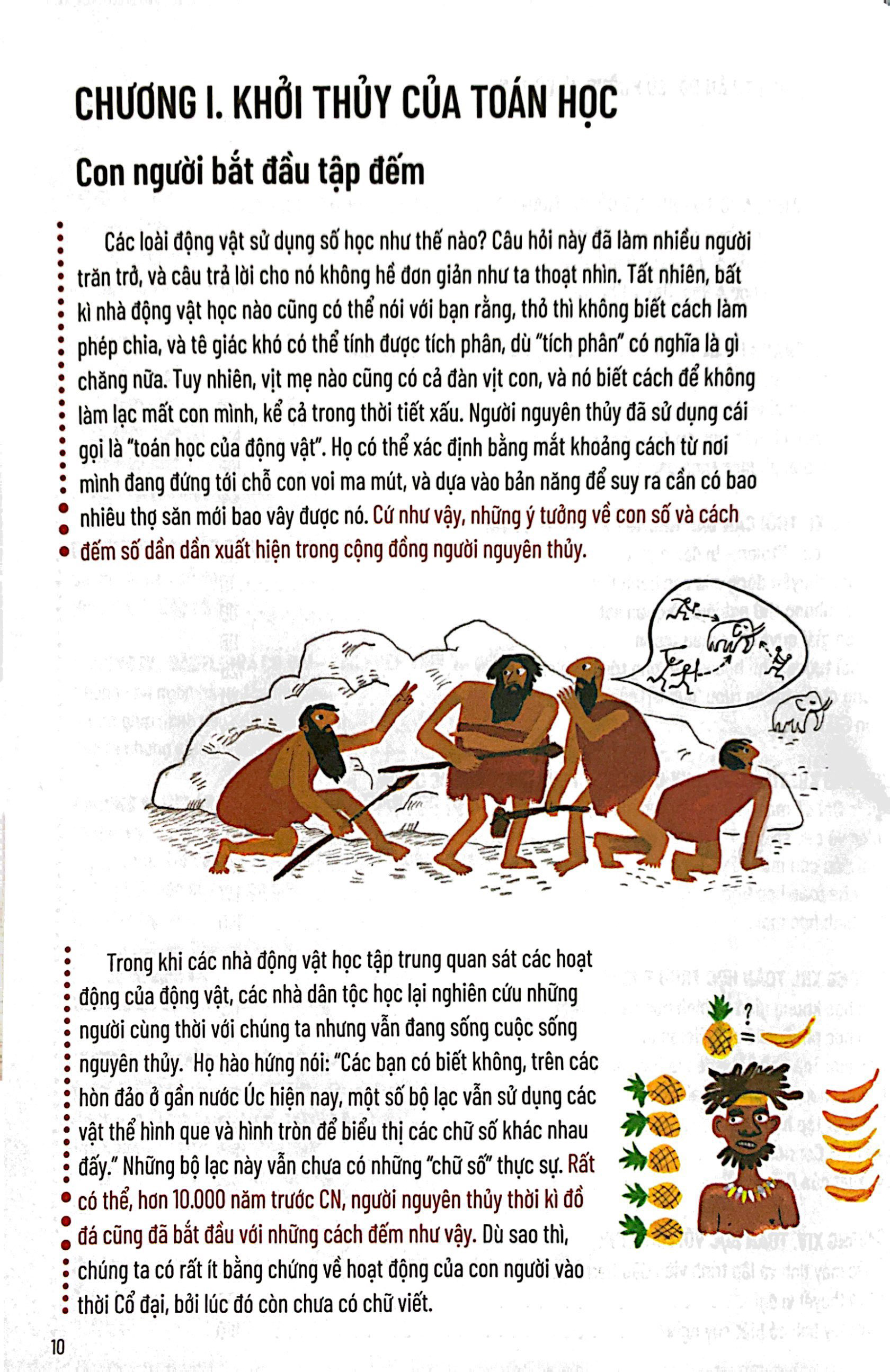 lược sử toán học - từ ý tưởng đến thực hành