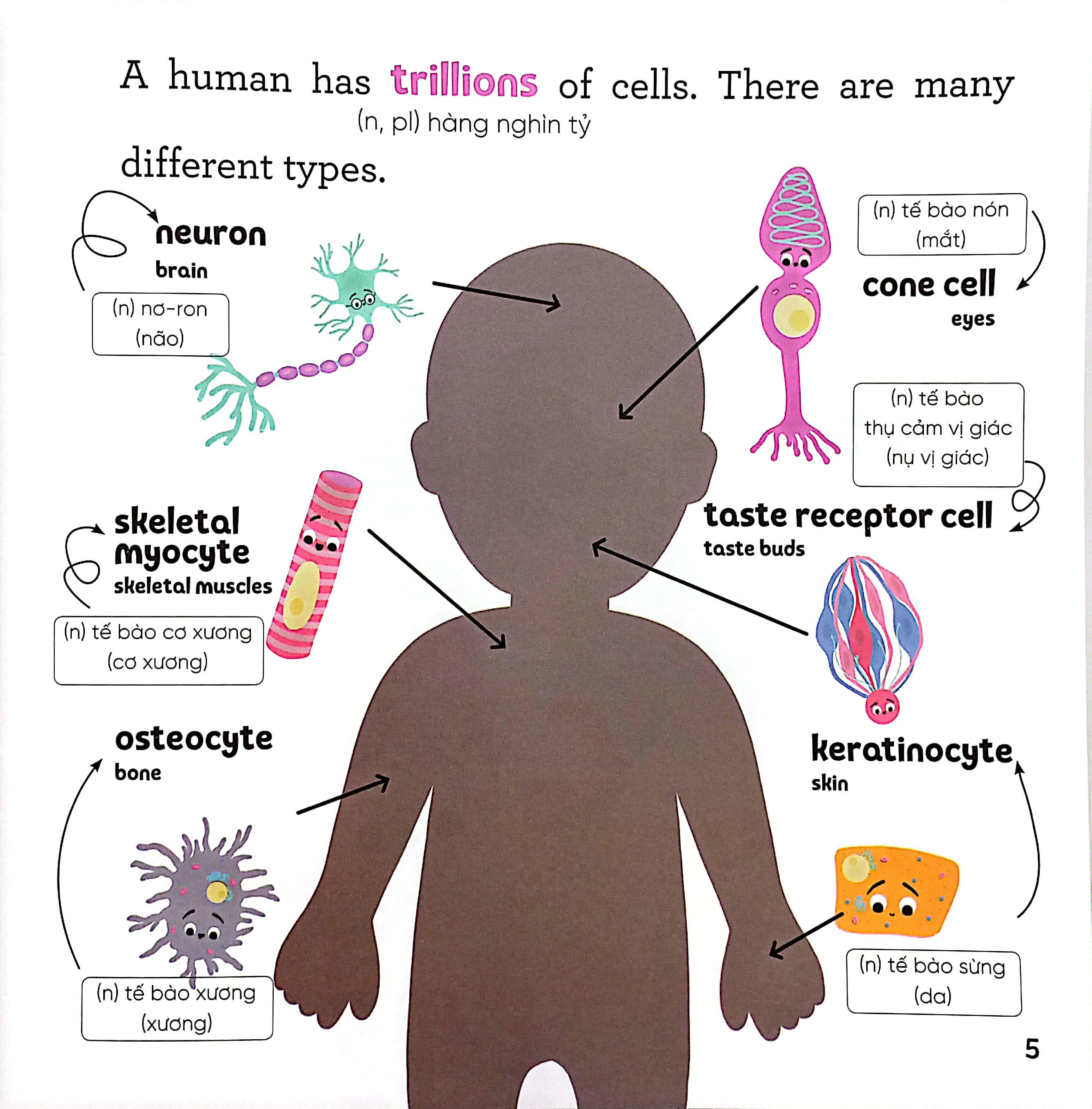 luyện đọc tiếng anh, phát triển từ vựng - nhà sinh hóa tương lai - dna - người đưa tin siêu đẳng