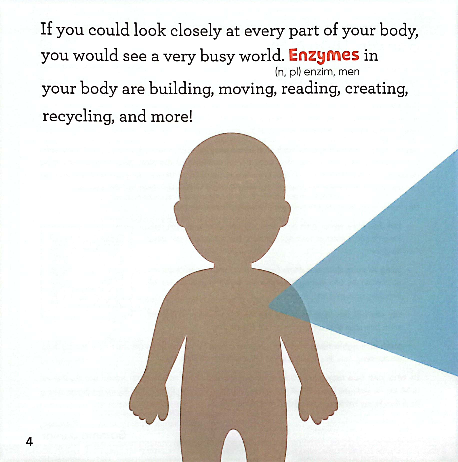 luyện đọc tiếng anh, phát triển từ vựng - nhà sinh hóa tương lai - enzymes - trợ thủ đắc lực của quá trình trao đổi chất