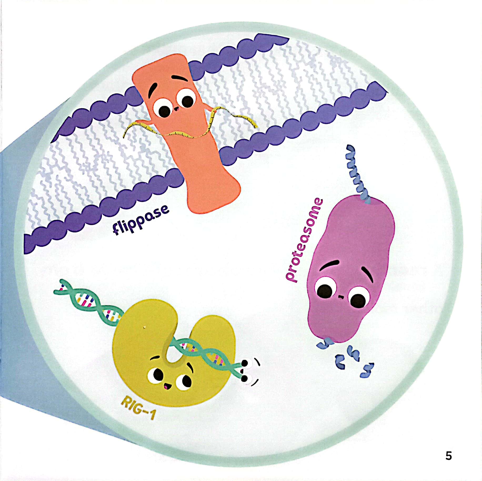 luyện đọc tiếng anh, phát triển từ vựng - nhà sinh hóa tương lai - enzymes - trợ thủ đắc lực của quá trình trao đổi chất