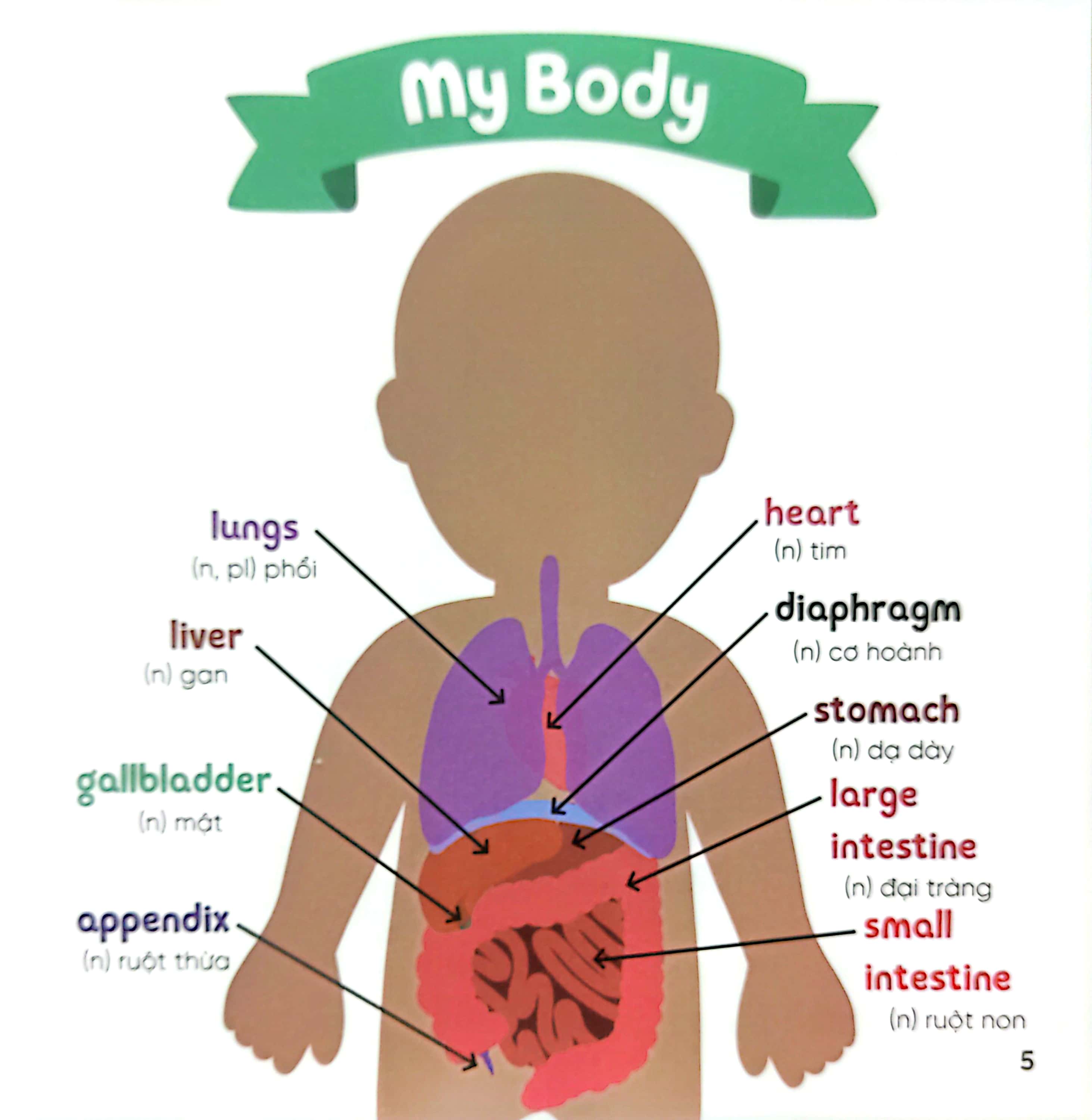 luyện đọc tiếng anh, phát triển từ vựng - nhà sinh hóa tương lai - my doctor's visit - cơ thể & sức khỏe