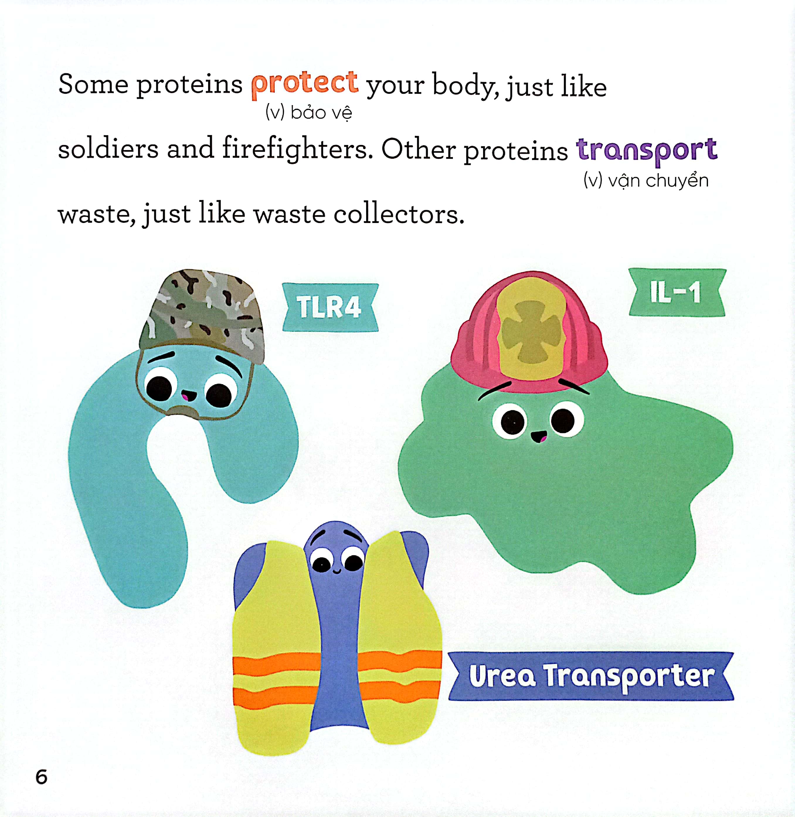 luyện đọc tiếng anh, phát triển từ vựng - nhà sinh hóa tương lai - proteins - những kẻ đa nhiệm tí hon