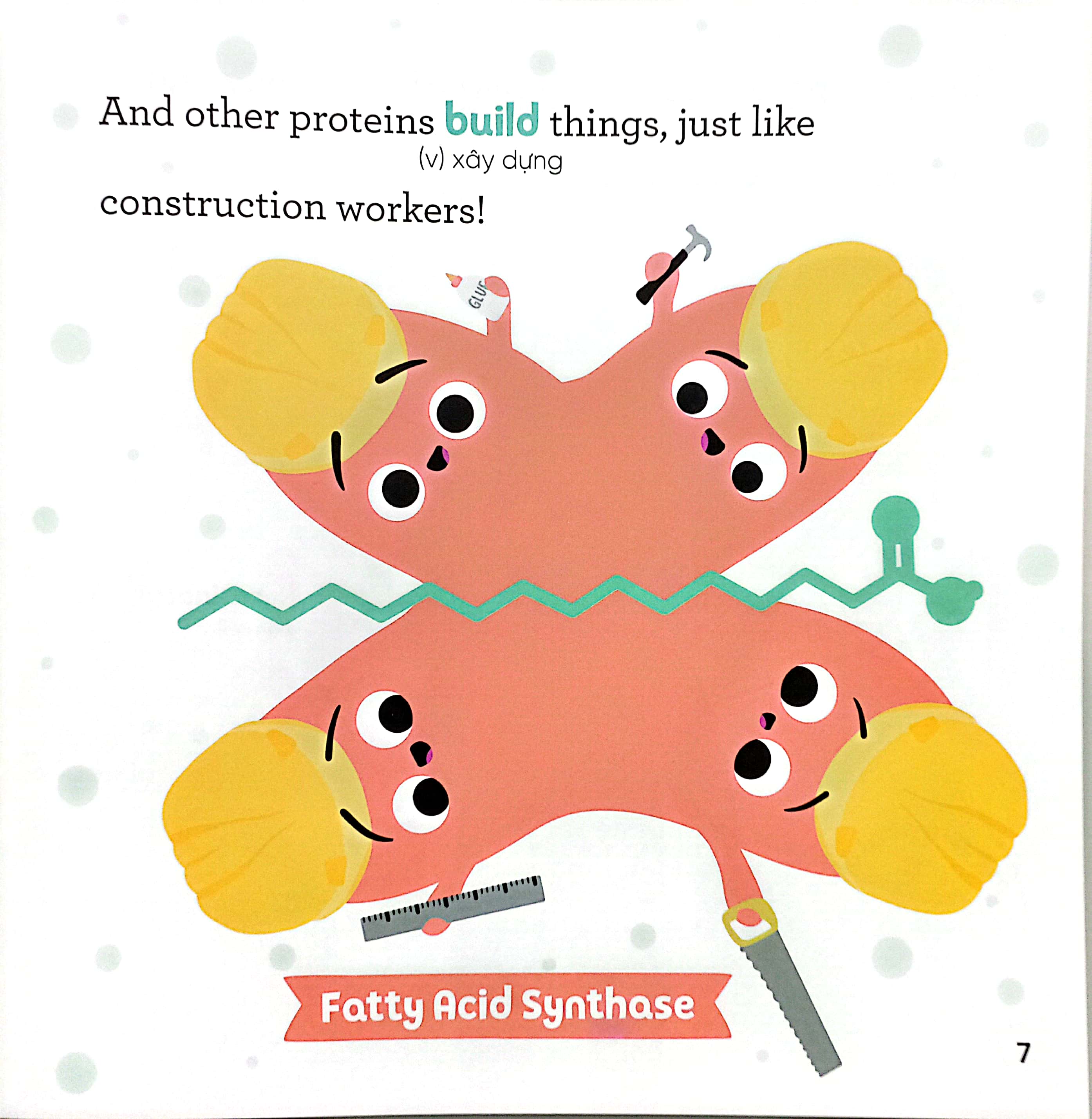 luyện đọc tiếng anh, phát triển từ vựng - nhà sinh hóa tương lai - proteins - những kẻ đa nhiệm tí hon