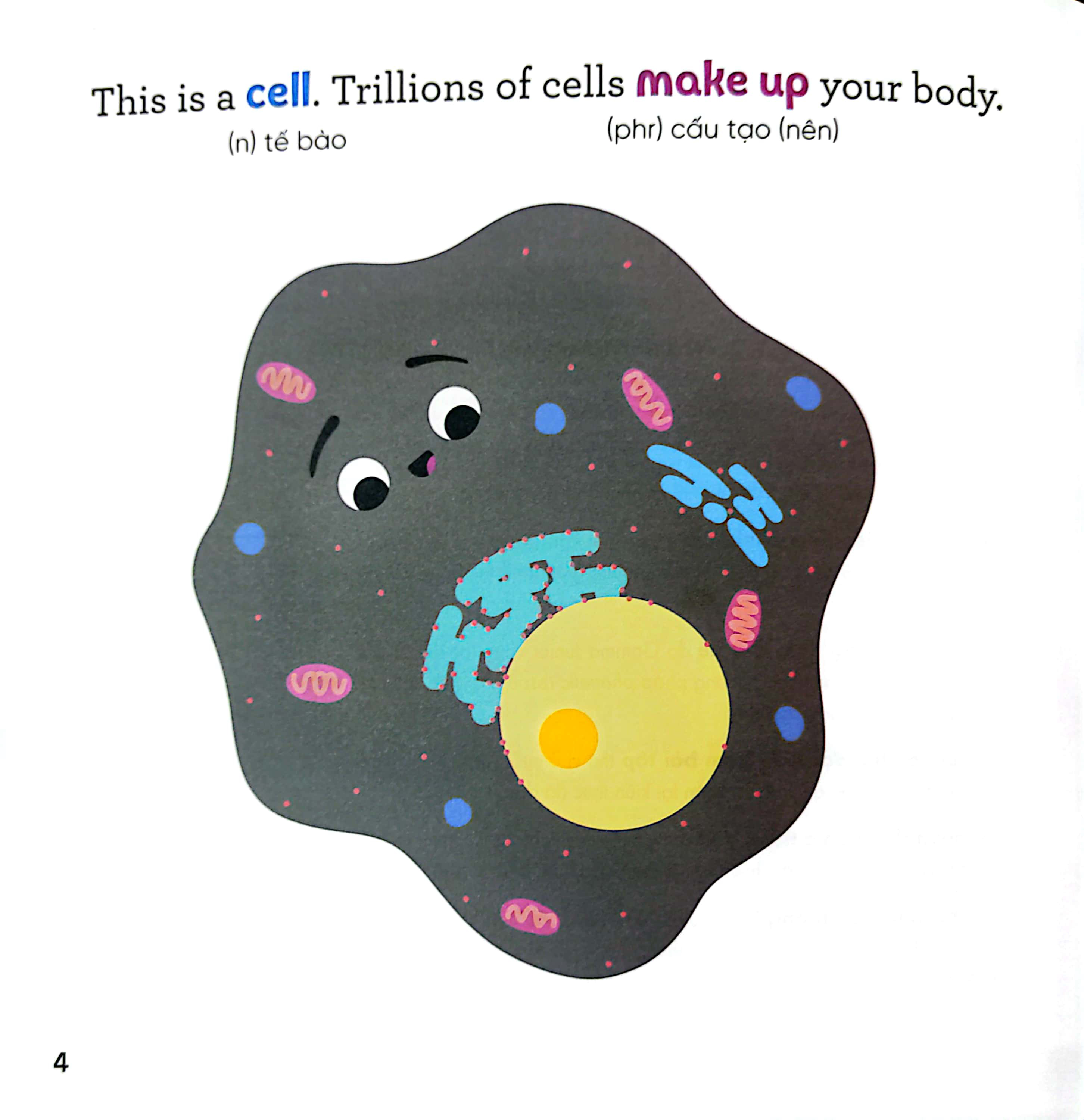 luyện đọc tiếng anh, phát triển từ vựng - nhà sinh hóa tương lai - rna - những siêu anh hùng của cơ thể