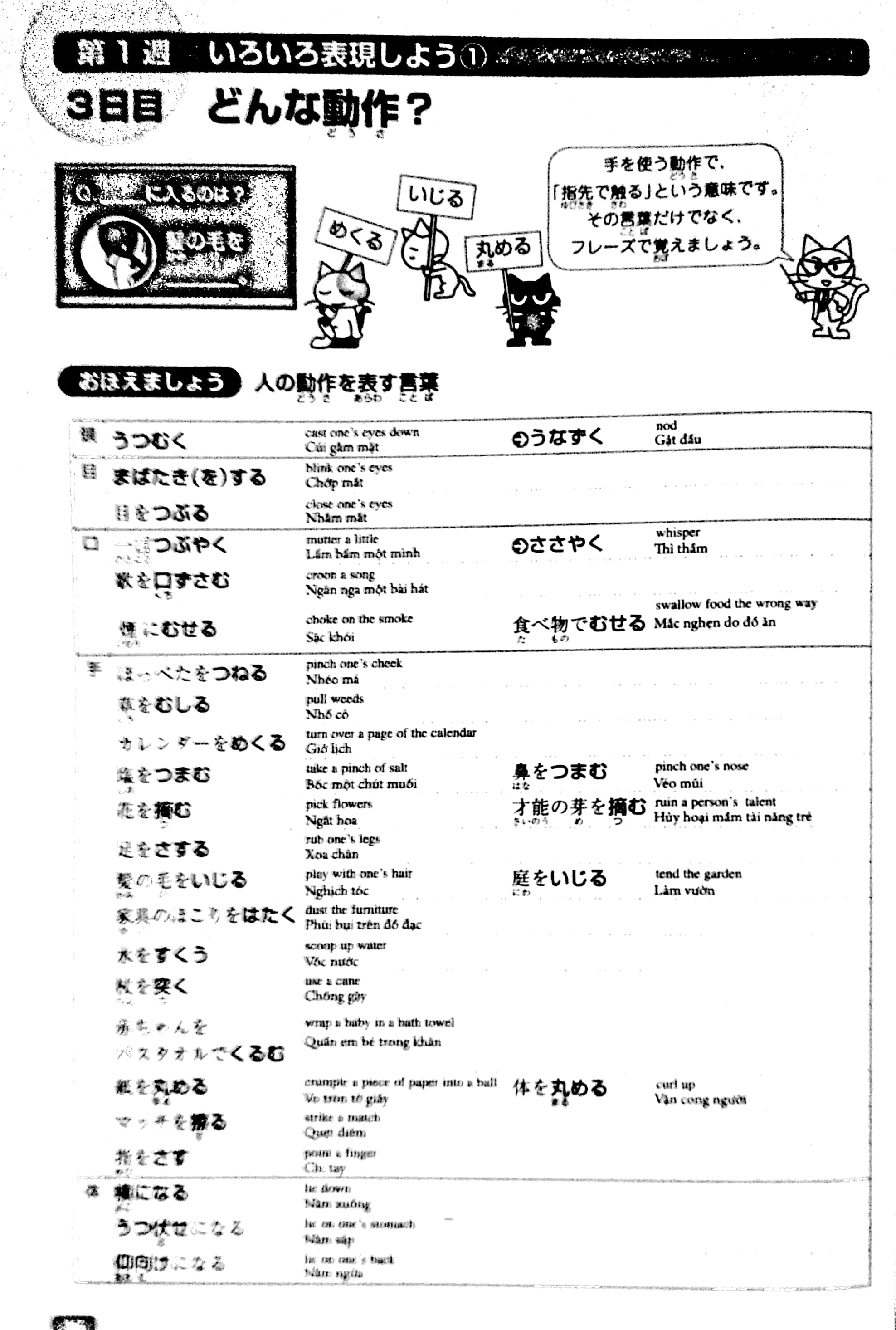luyện thi năng lực nhật ngữ n1 – từ vựng