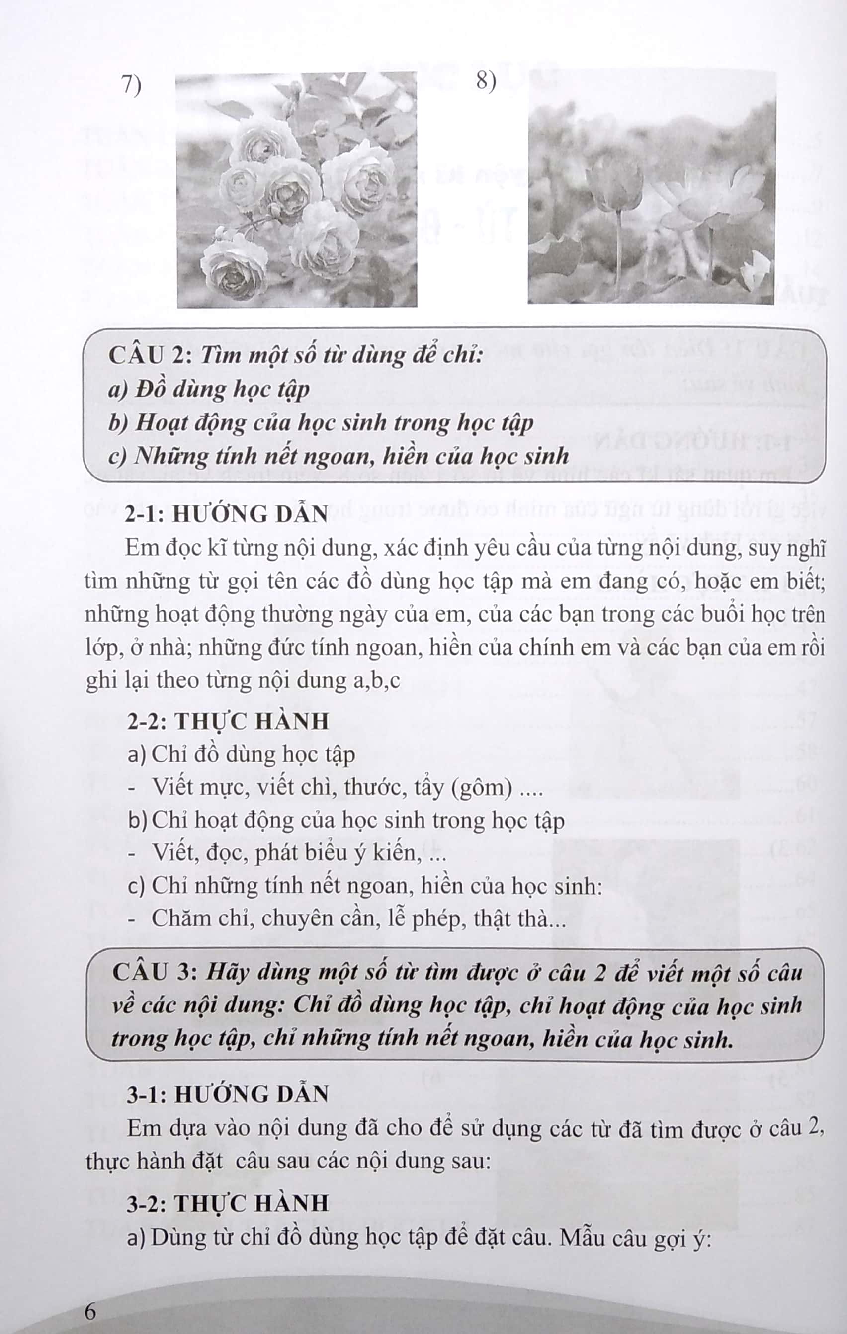 luyện từ và câu lớp 2 (theo chương trình tiểu học mới)