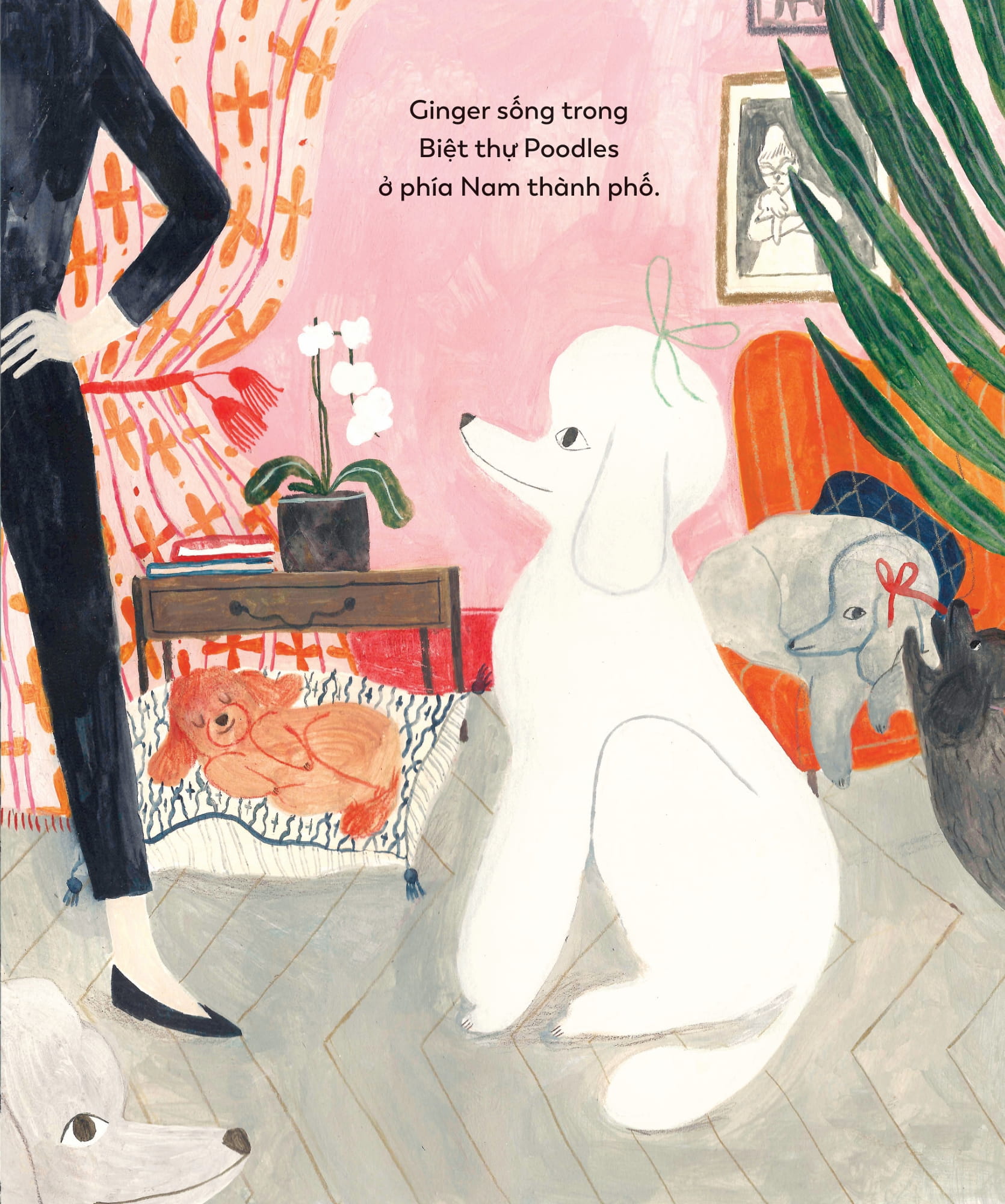 mái ấm của cún cưng