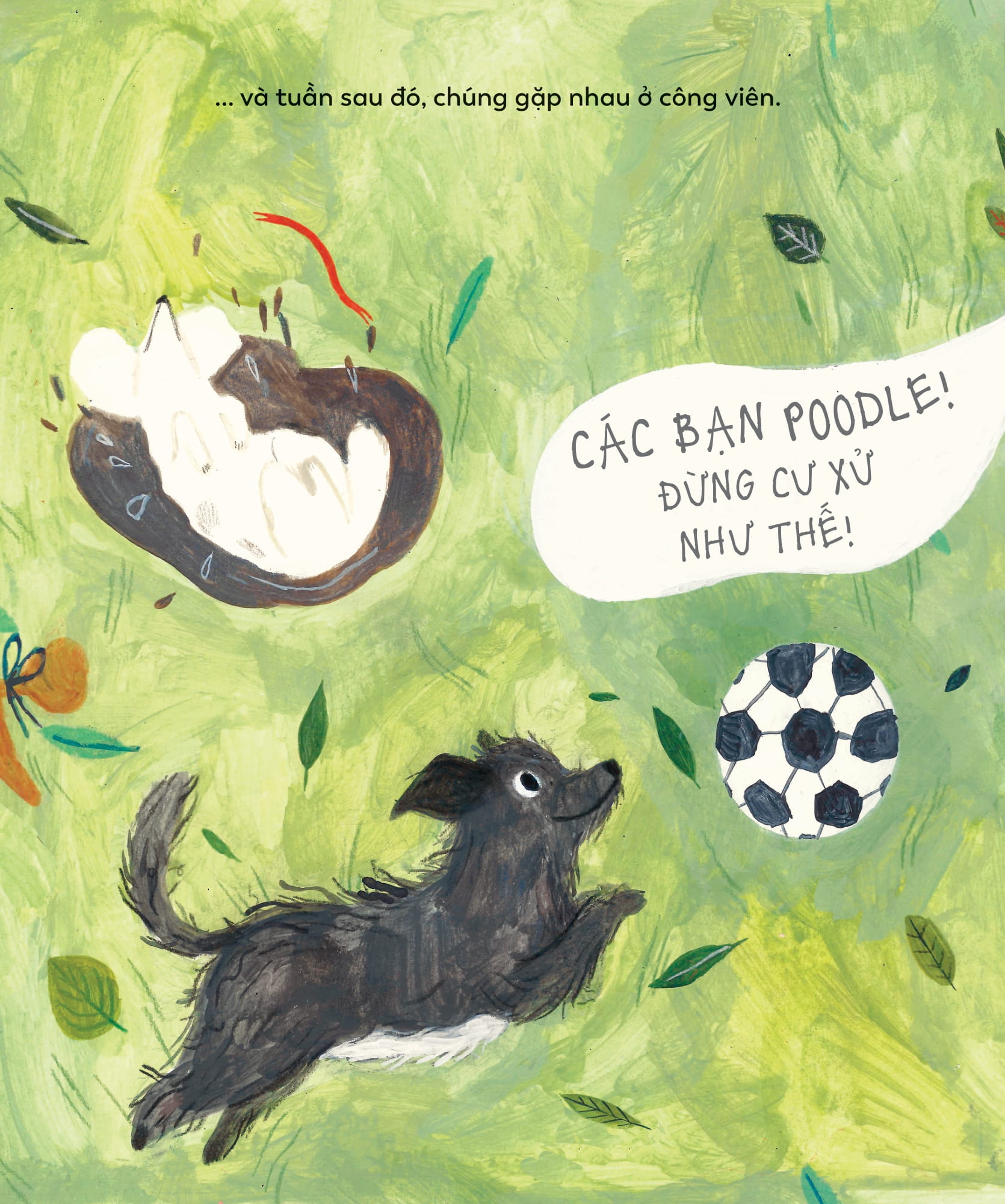 mái ấm của cún cưng