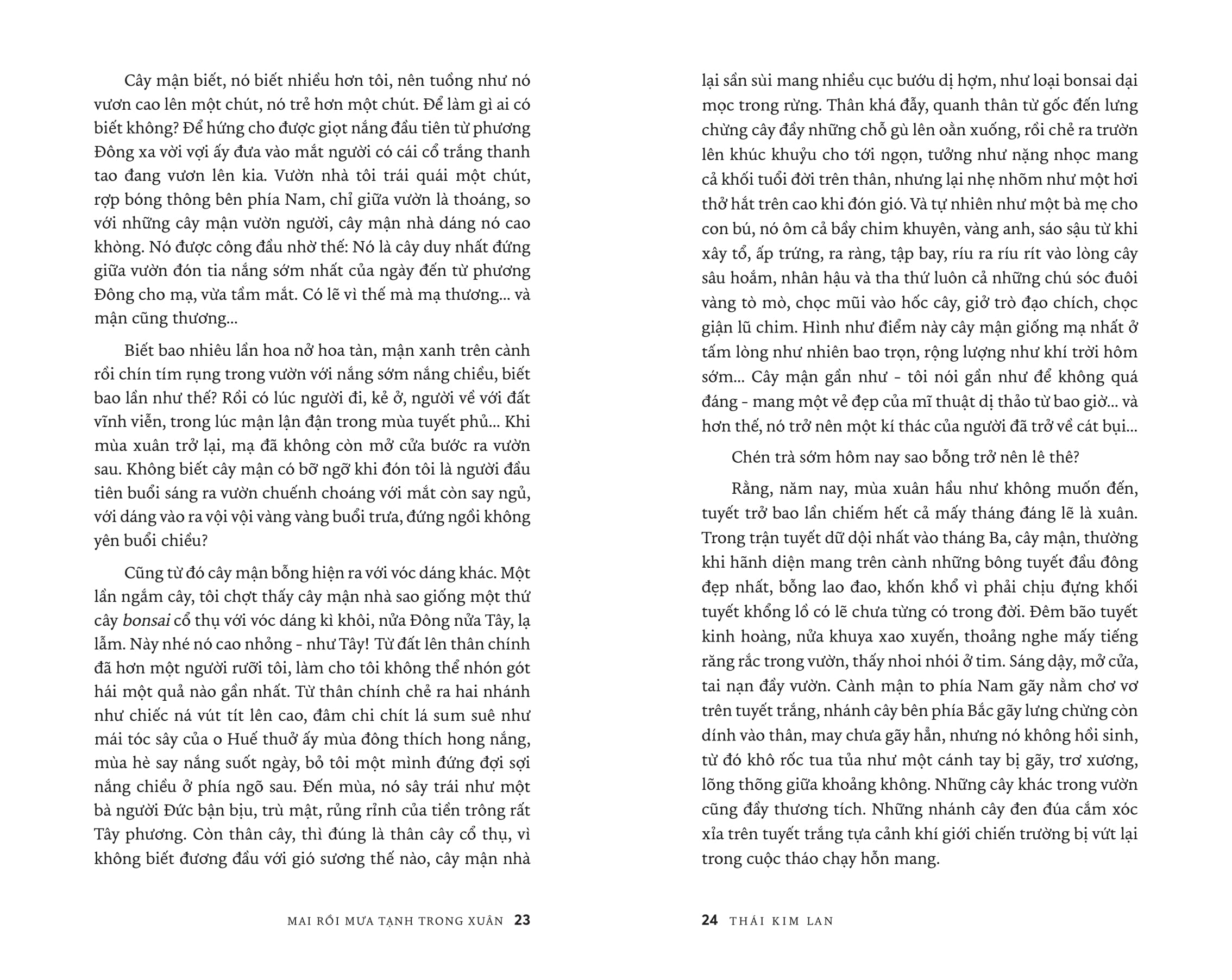 Mai Roi Mua Tanh Trong Xuan (Tai Ban 2025)