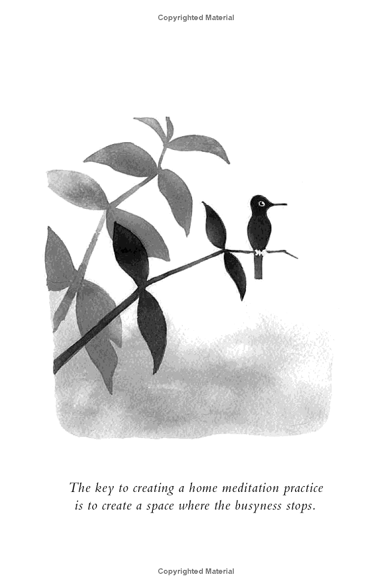 making space : creating a home meditation practice