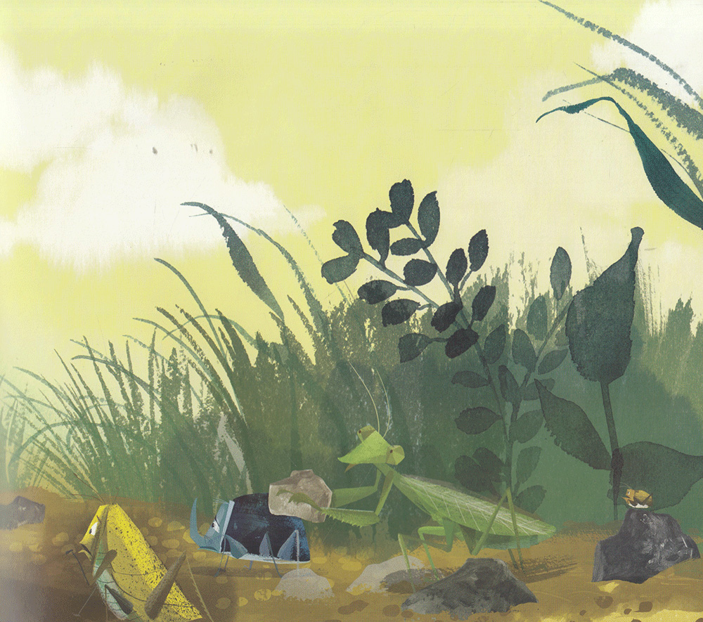 mang cho ta một hòn đá (tái bản 2020)