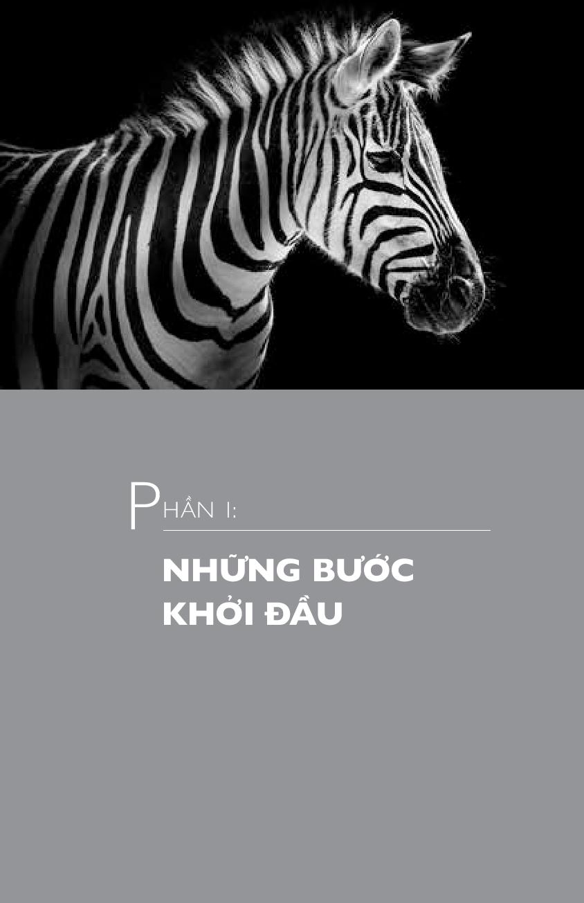 marketing sáng tạo dành cho doanh nghiệp nhỏ (tái bản 2018)