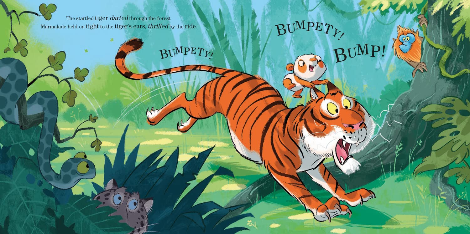 marmalade - the orange panda