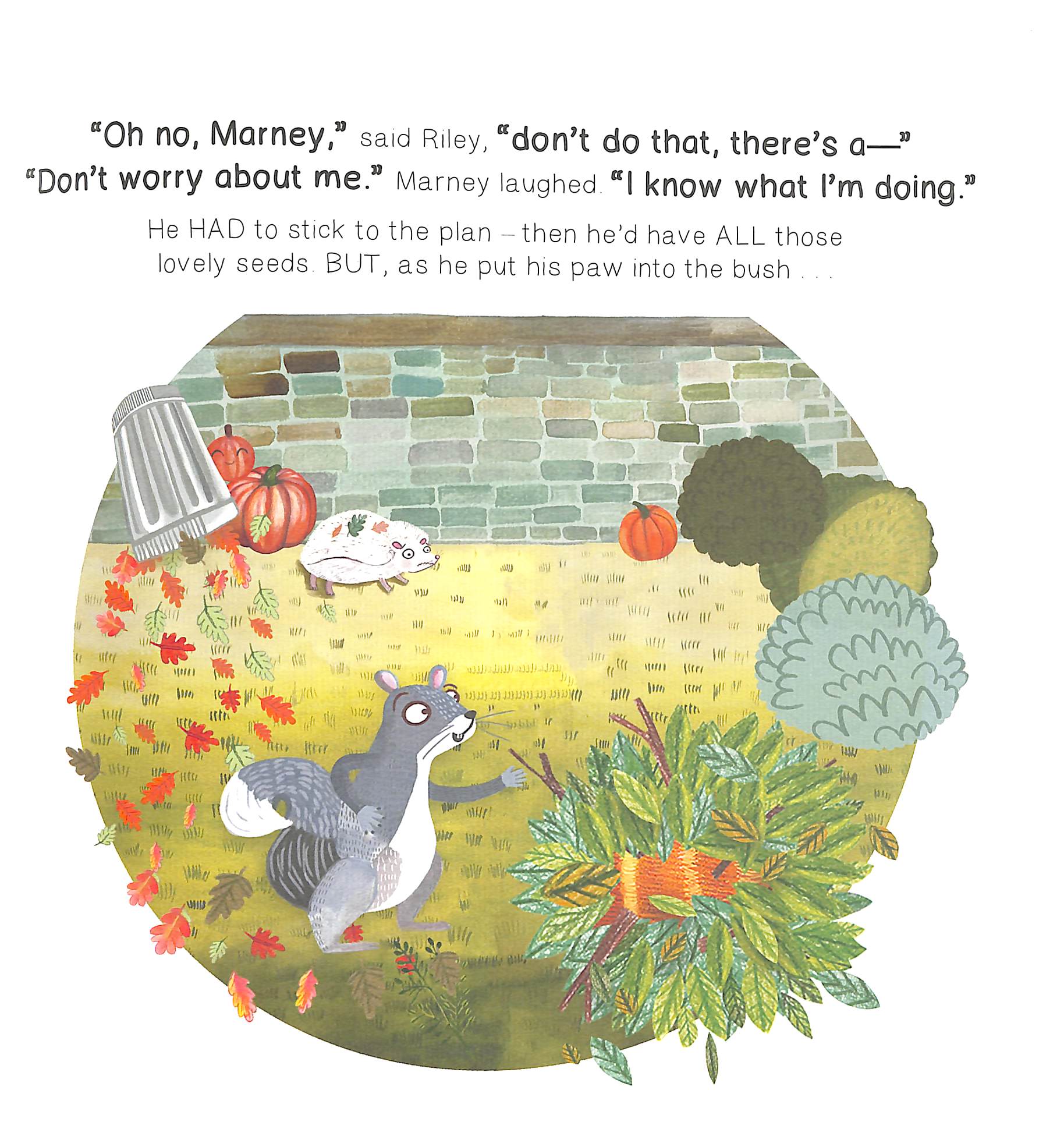 marney's pumpkin mix up