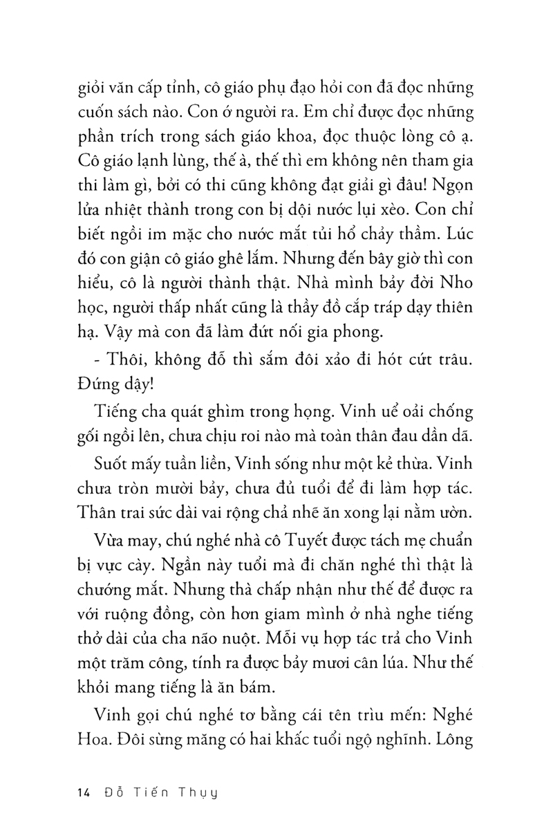 màu rừng ruộng