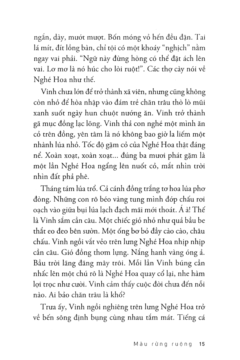 màu rừng ruộng