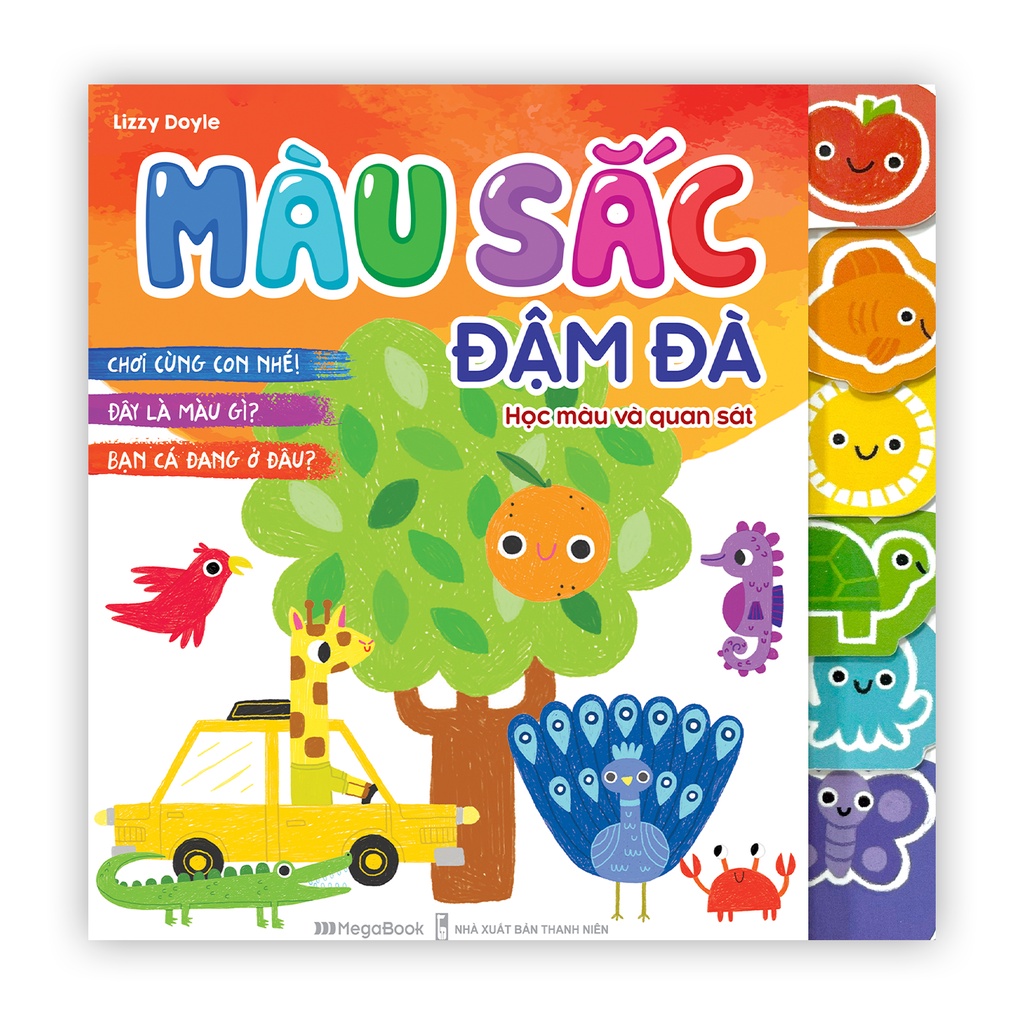 màu sắc đậm đà - học màu và quan sát