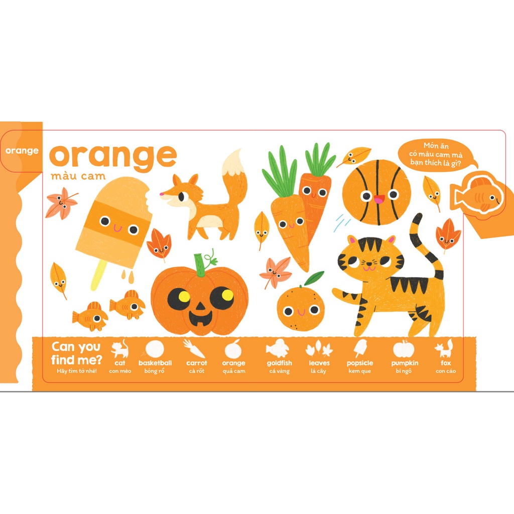 màu sắc đậm đà - học màu và quan sát