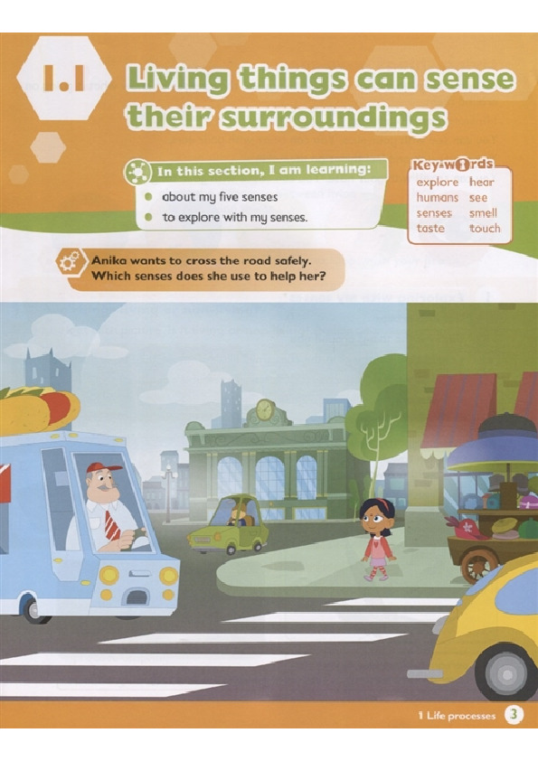 max science primary grade 3 student's book