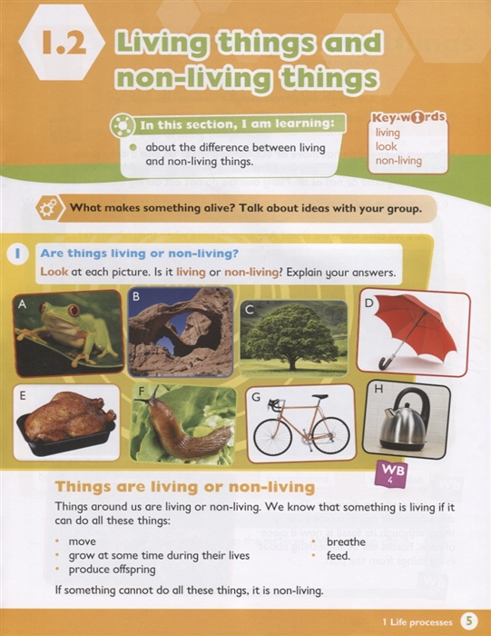 max science primary grade 3 student's book