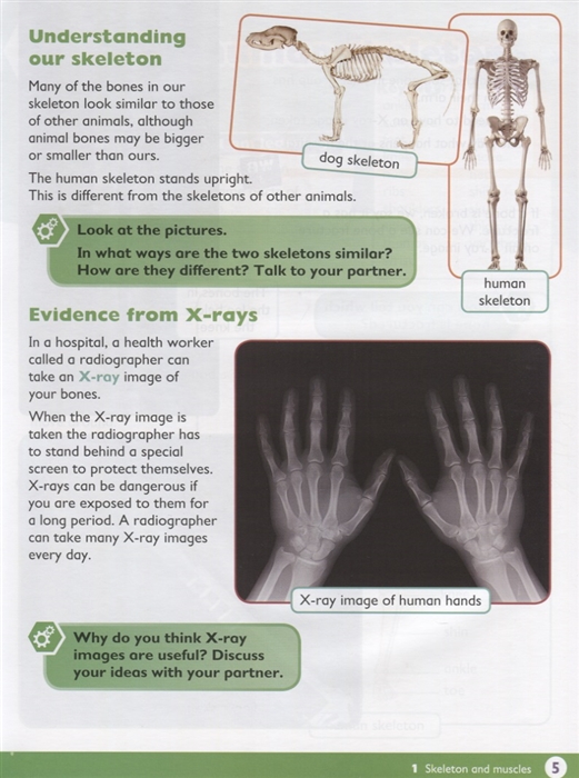 max science primary grade 4 student's book