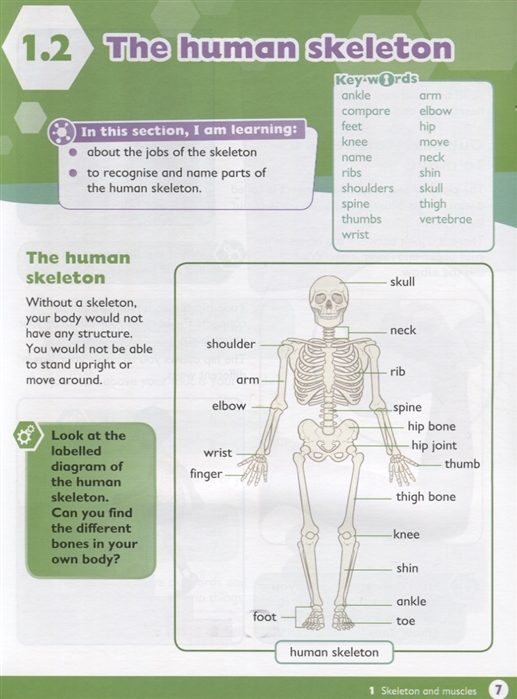 max science primary grade 4 student's book