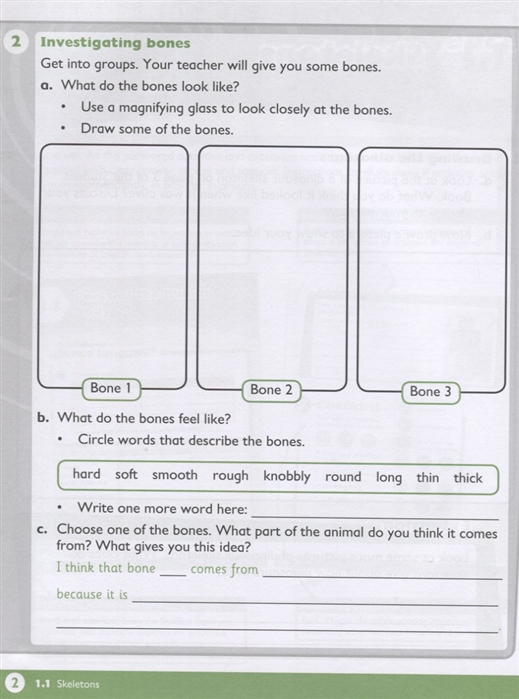 max science primary grade 4 workbook