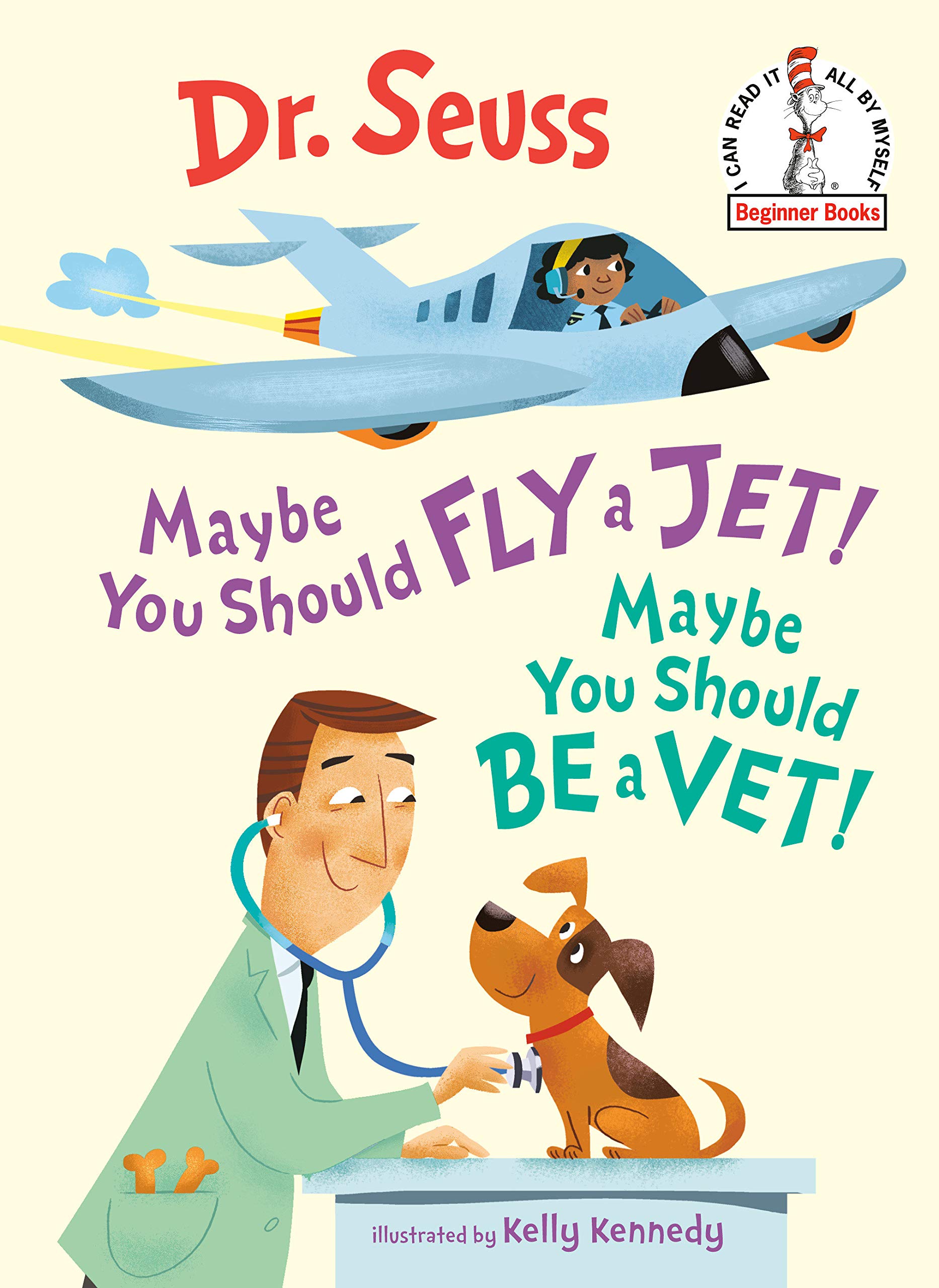 maybe you should fly a jet! maybe you should be a vet!