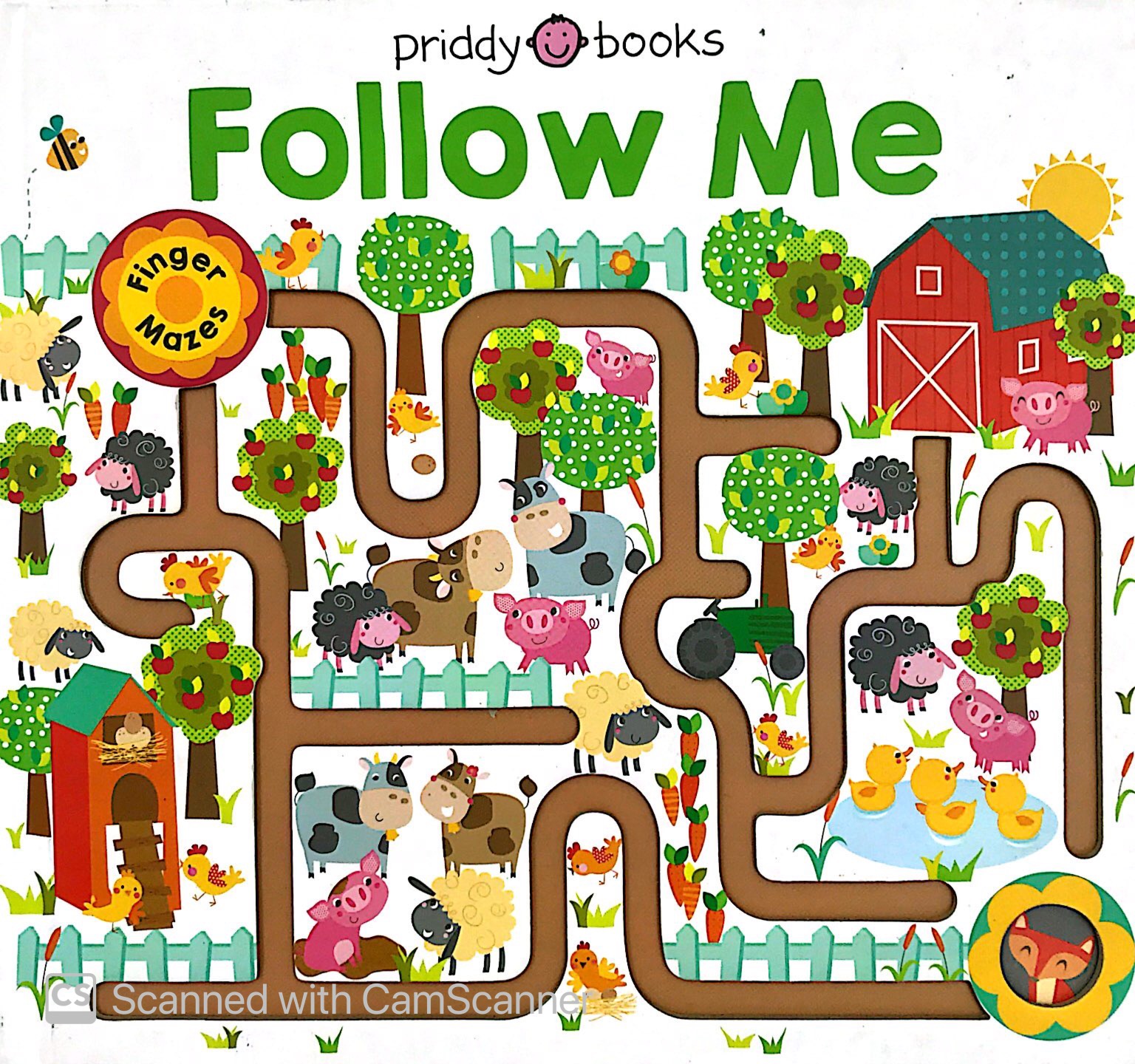 maze book: follow me