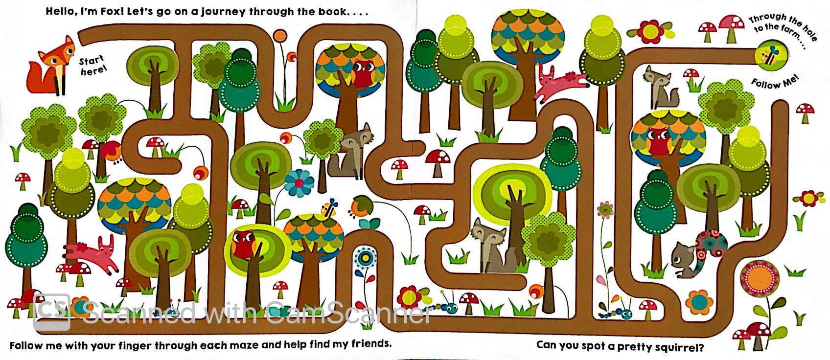 maze book: follow me