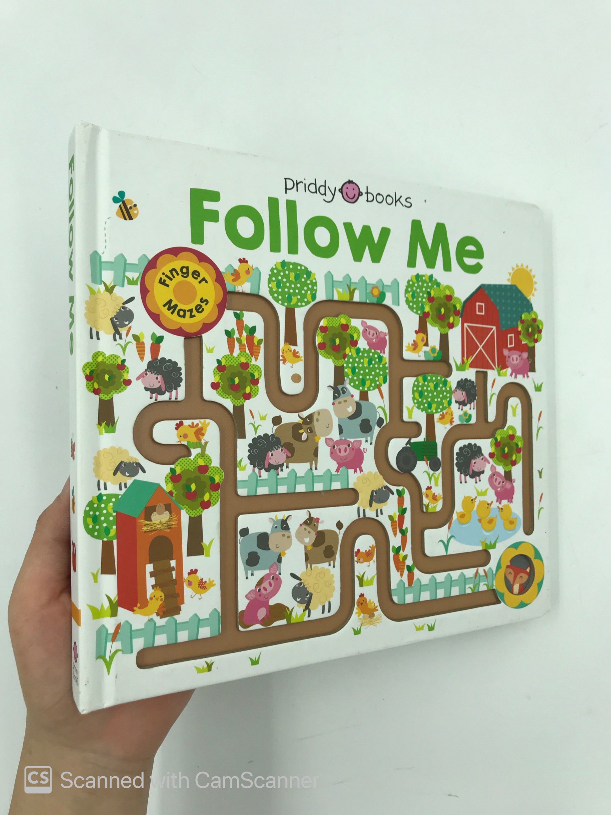 maze book: follow me