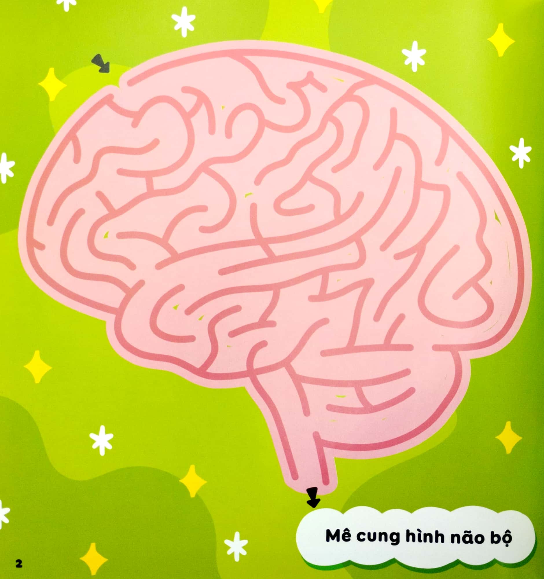 mê cung thông minh - rèn khả năng tập trung cho trẻ - cơ thể người (từ 4-10 tuổi)