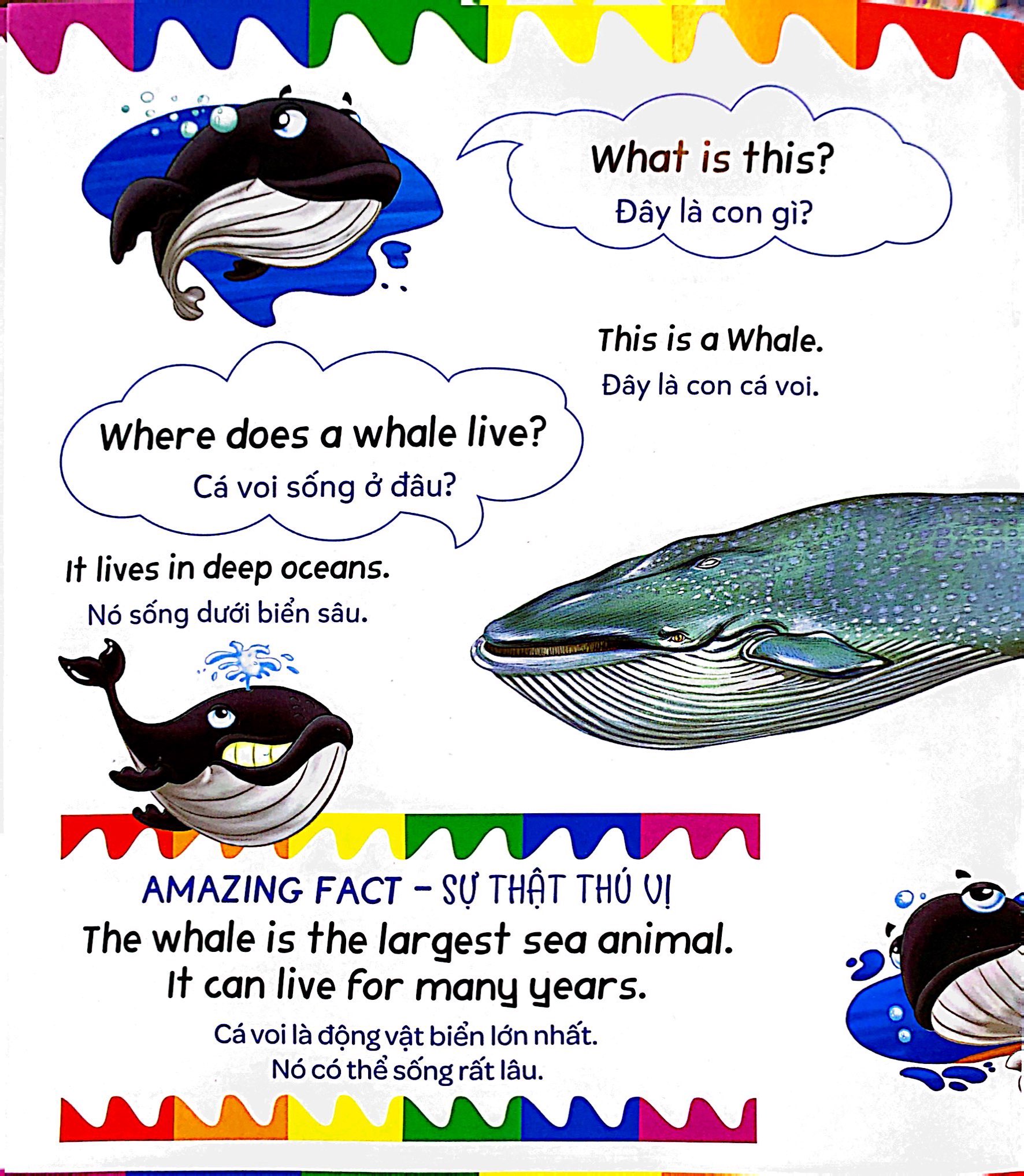 mẹ hỏi bé trả lời - song ngữ anh-việt - ocean - đại dương (dành cho trẻ từ 2-7 tuổi)