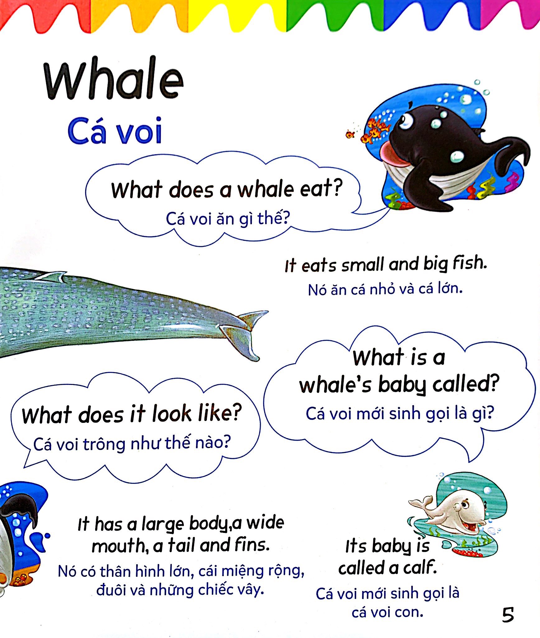 mẹ hỏi bé trả lời - song ngữ anh-việt - ocean - đại dương (dành cho trẻ từ 2-7 tuổi)