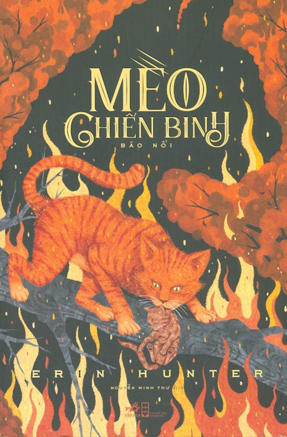 mèo chiến binh - bão nổi