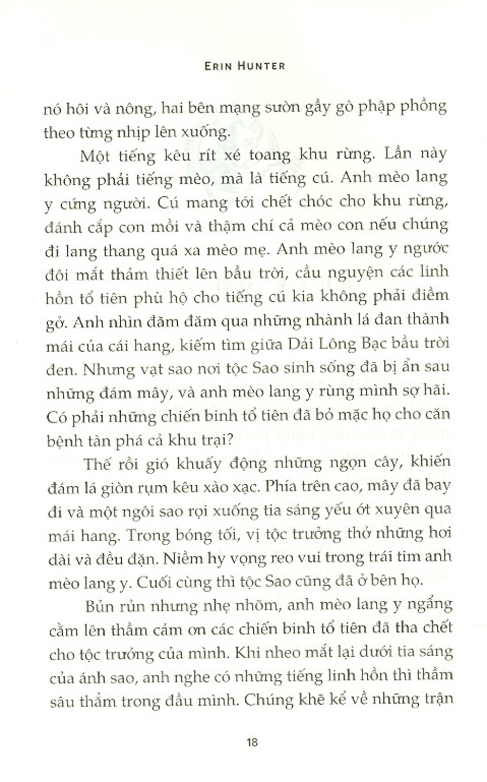mèo chiến binh - bão nổi