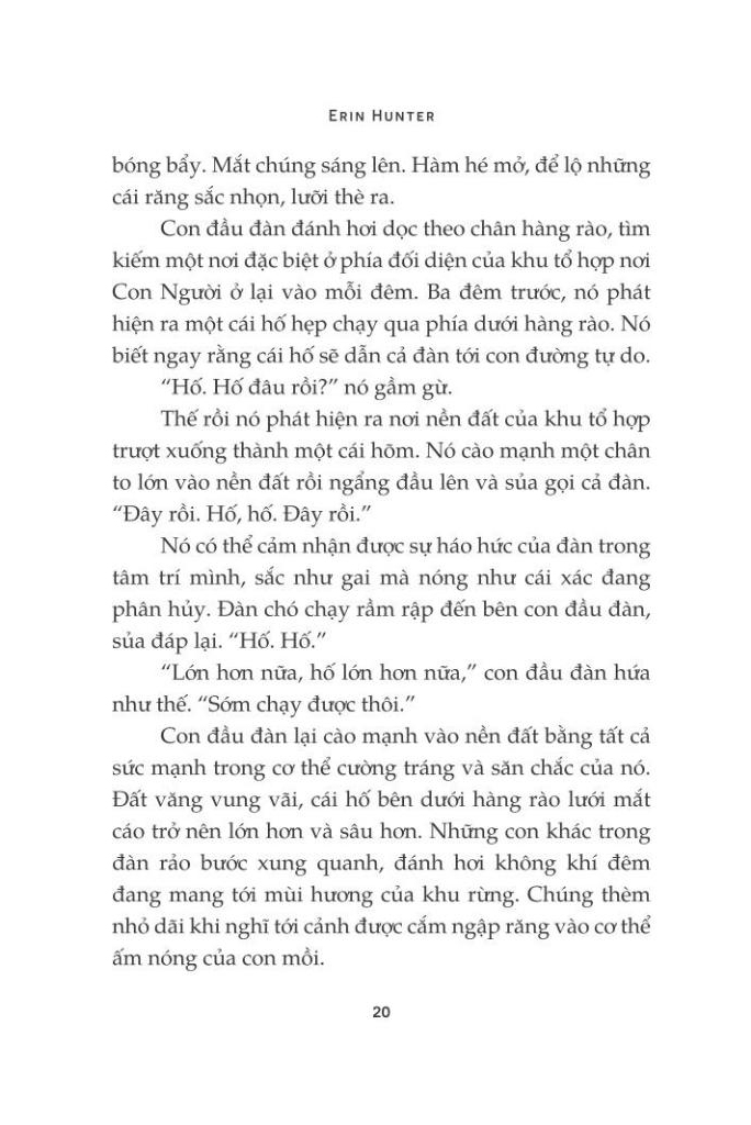 mèo chiến binh - con đường hiểm nguy