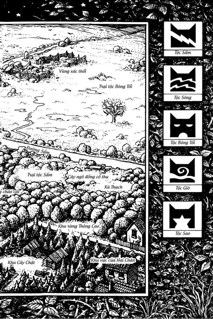 mèo chiến binh - con đường hiểm nguy