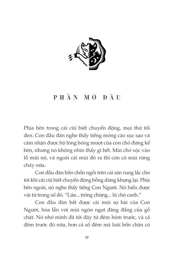 mèo chiến binh - con đường hiểm nguy