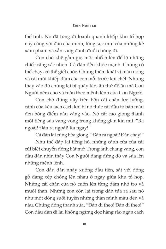 mèo chiến binh - con đường hiểm nguy